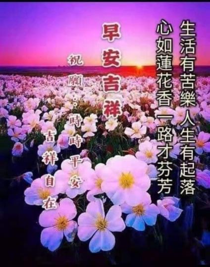 早晨！人生苦樂常有，願大家平安自在快樂！...