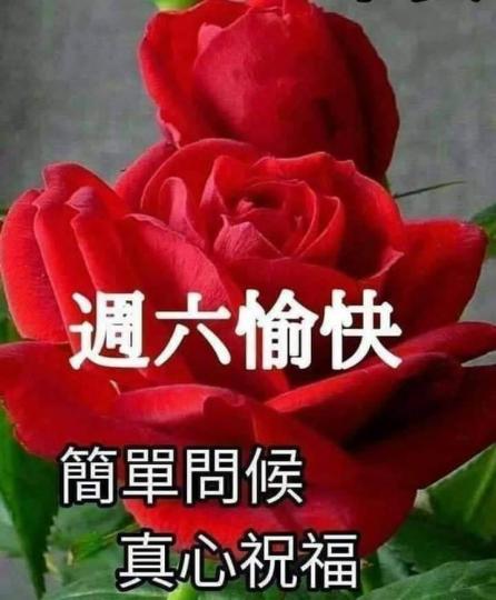 早晨大家問候祝福大家開心😃...