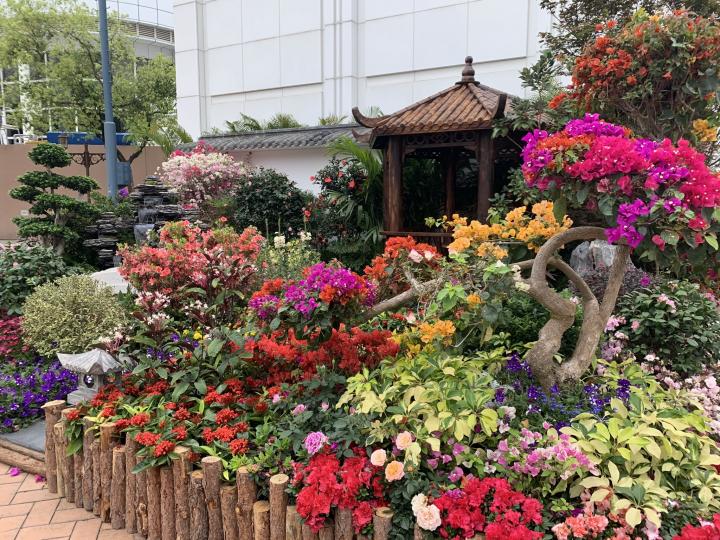 九龍公園的花卉展覽園圃...
