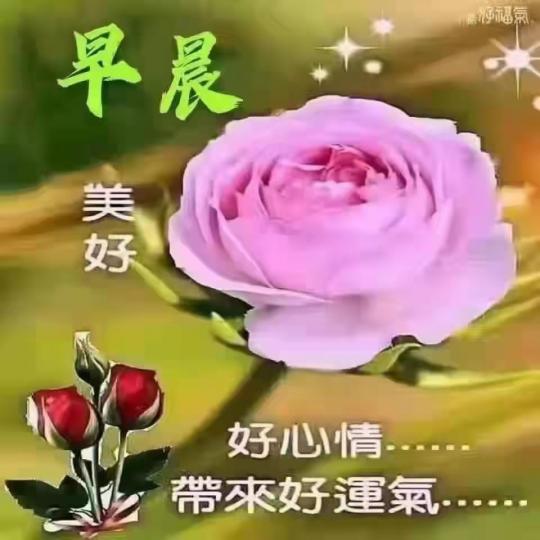 早晨！祝福大家天天好心情，天天都美好！...