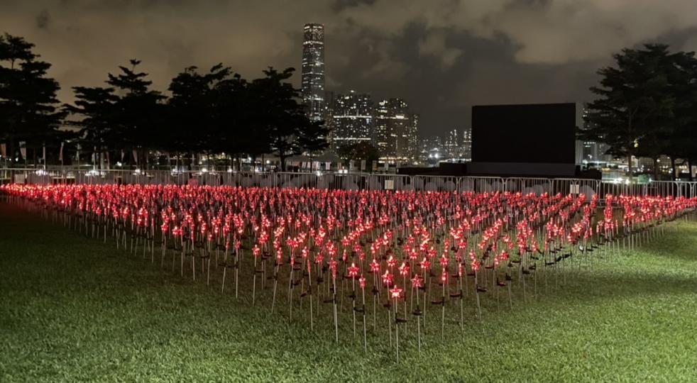 添馬公園草地上一片燈飾但可惜昨晚是最後一天...