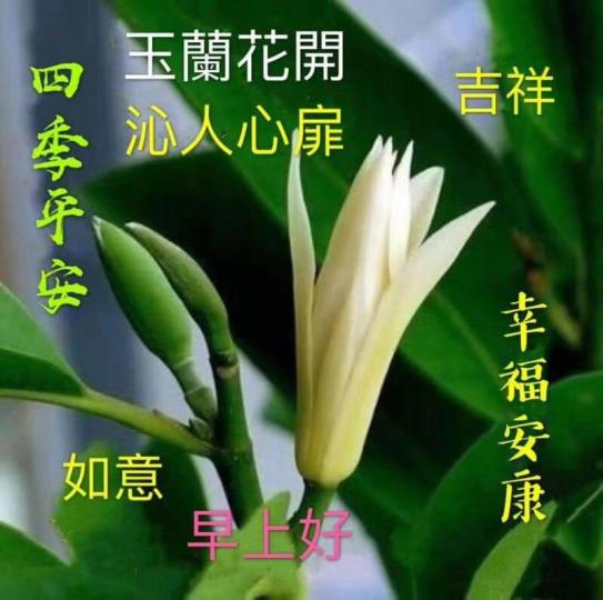 莫錯過花開時侯賞花，令你開心！...