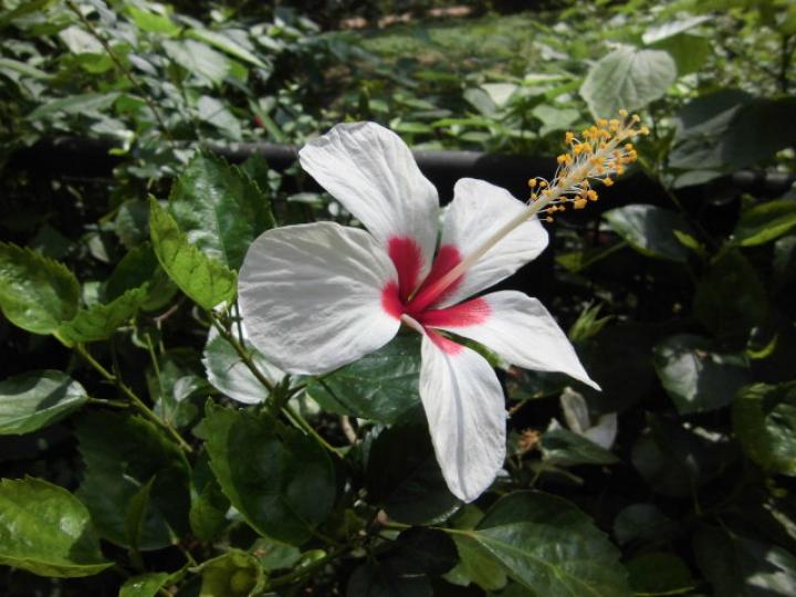 CIMG4480_0