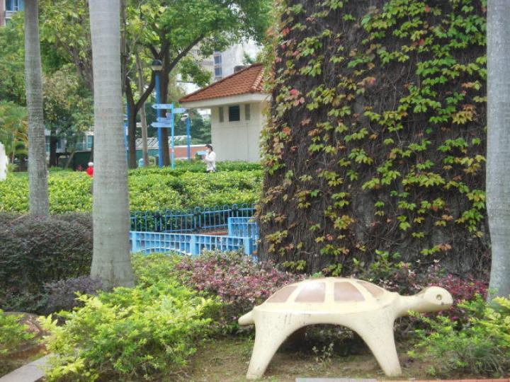 沉香園內之,,龜龜樂園！...