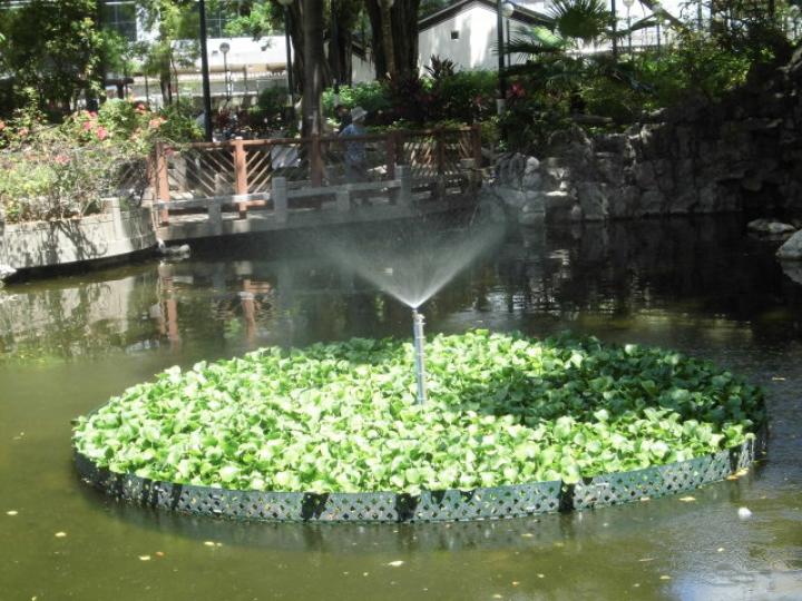 往噴泉公園,,遊一圈！...