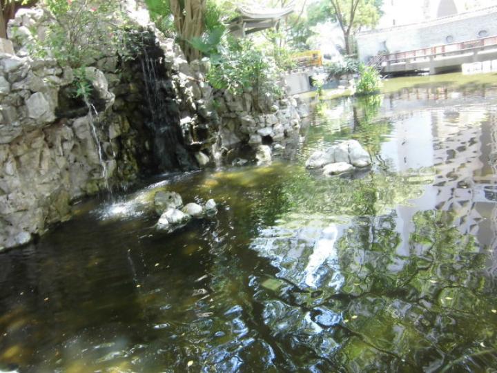 園內有個,,長河池水！...