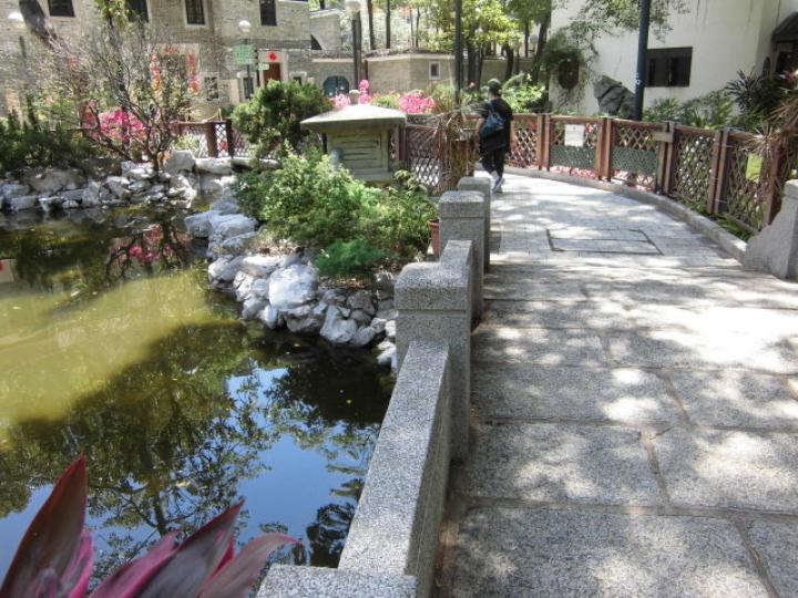 入內花園,,觀賞另一景！...