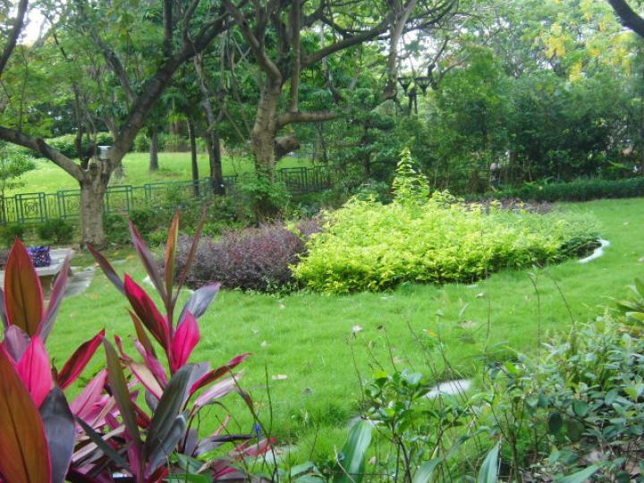 往種植圃園,,賞花區！...