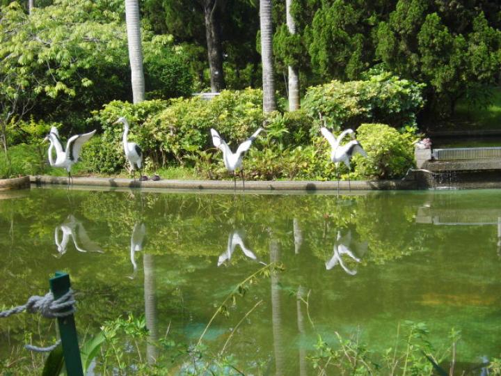 往雀鳥公園,,遊一遊！...