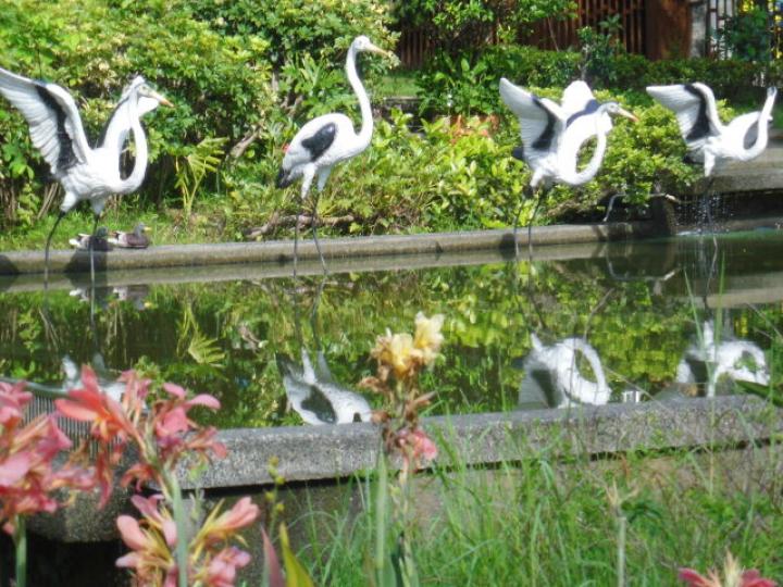 雀鳥公園,,,遊吓景点！...