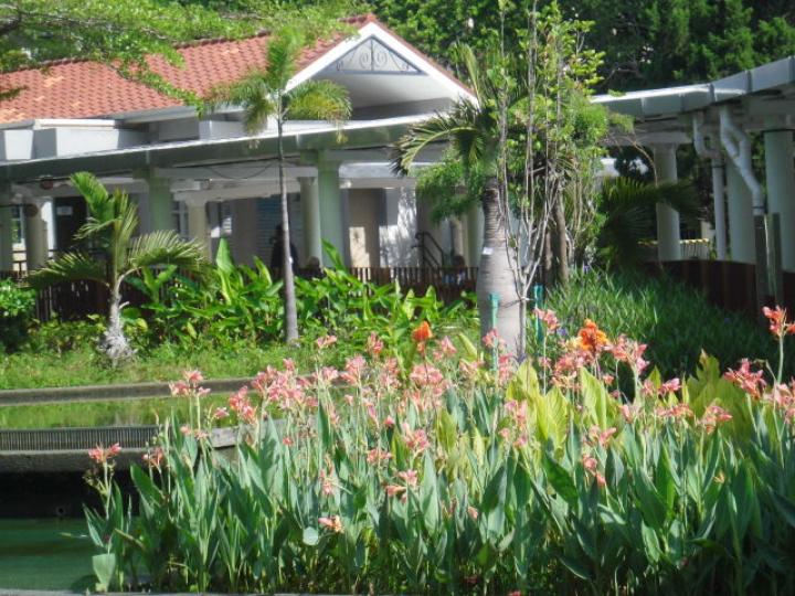 公園之內,,種植多花朵！...