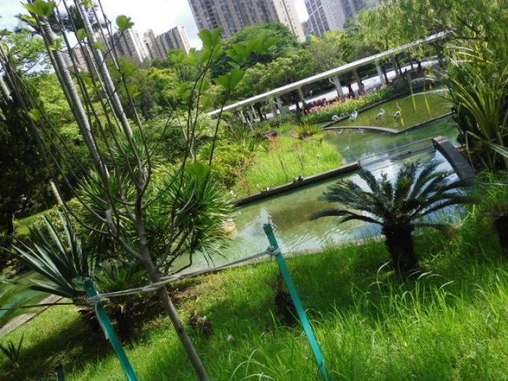 花圃園內,,景观優美！...
