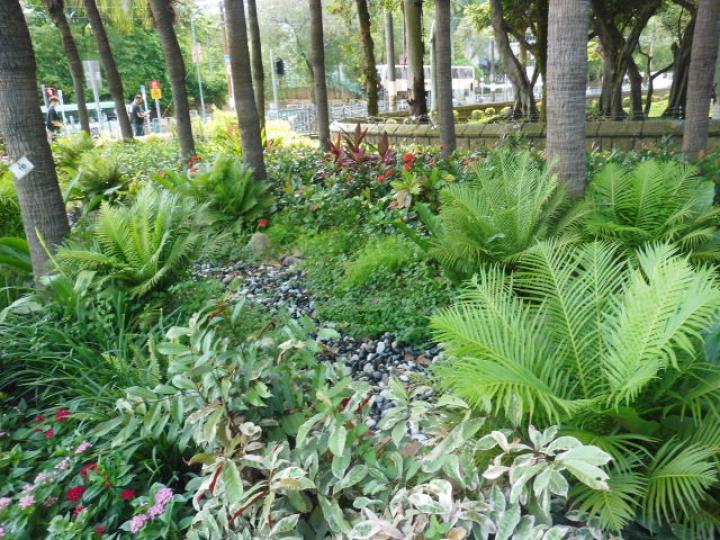 往種植園內,,遊一遊！...