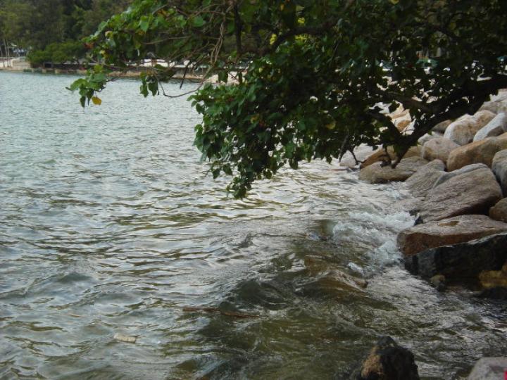 海湾石上,,海水高漲！...