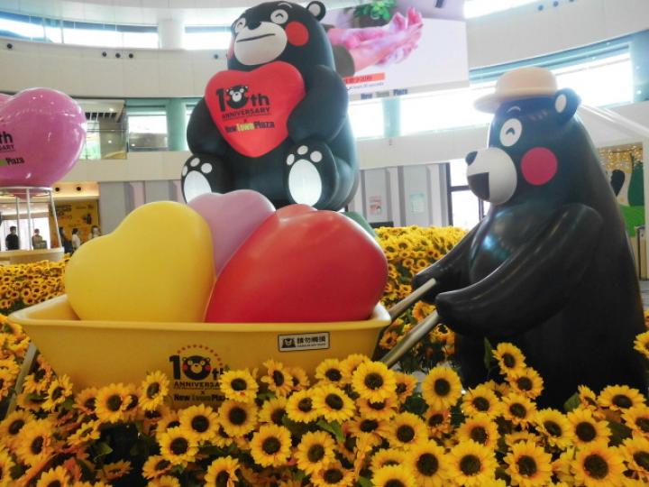 往沙田場,,睇吓黒熊花展！...
