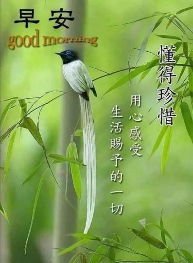 珍惜身邊人，珍惜生活的一切...