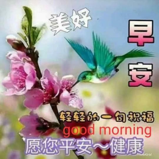 一句祝福願你有健康的每一天...