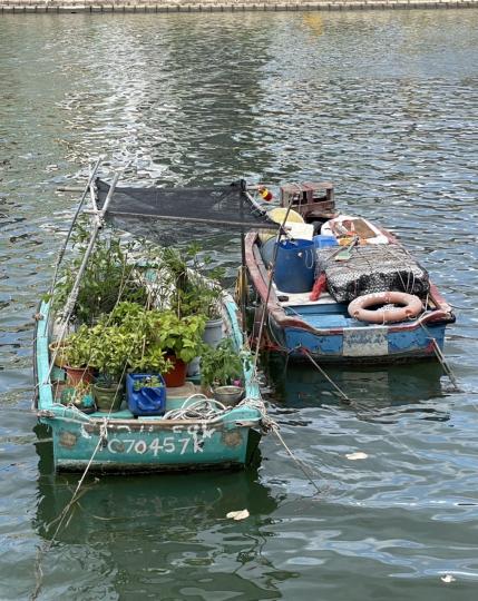 綠化小艇私家後花園園圃...