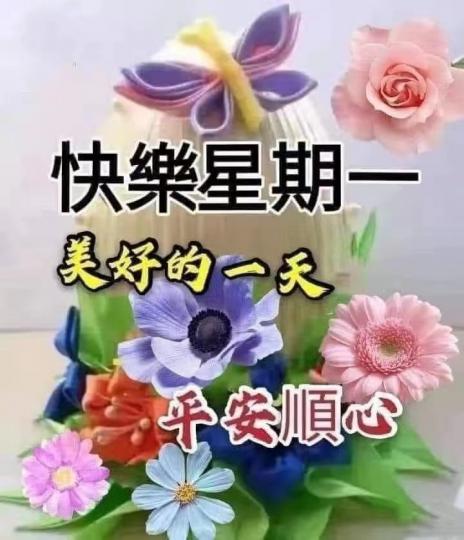 百花盛放願大家天天快樂心花開...