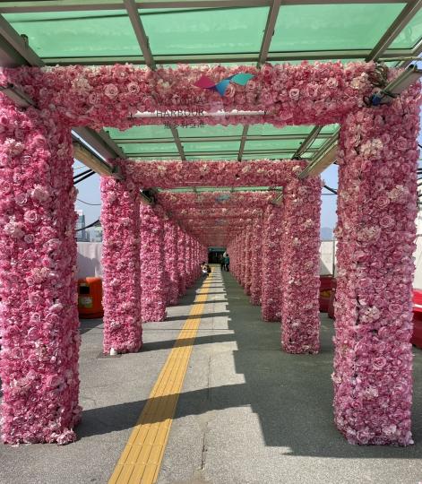 灣仔碼頭的玫瑰花隧道吸引你嗎？...