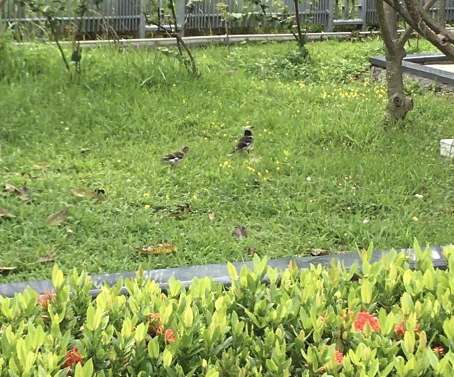 一齊行公園散散步開心過每一天...