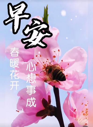 春暖花開，👀靚花心想事成...