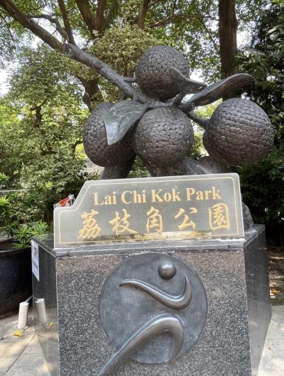 早安！荔枝角公園的荔枝是黑色的！...