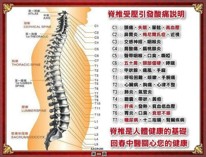 脊椎受壓引發痠痛說明！...