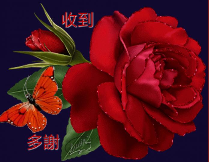美麗的玫瑰花，人人都愛它。新年花開富貴好兆頭！...