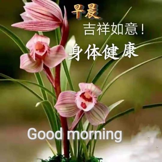 Good morning, 開心每一天！...