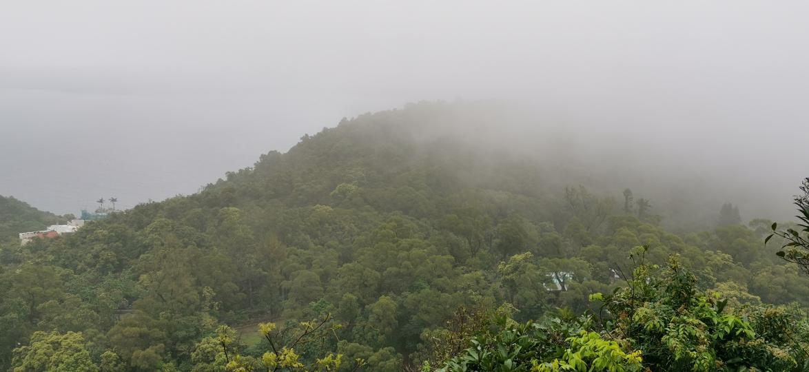 三、四月雲霧中的西貢...