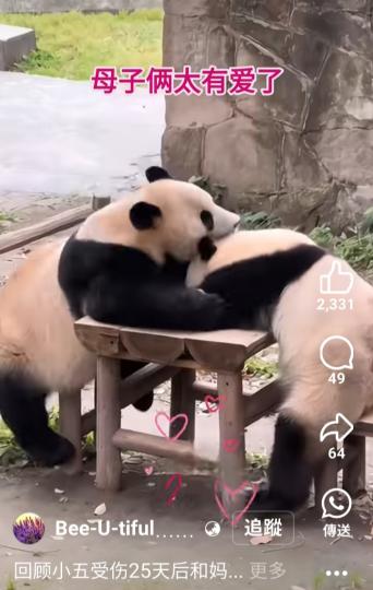 回顧小五愛伤25天後和媽..-...