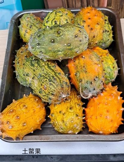 土鰵果乍看以為是木公...