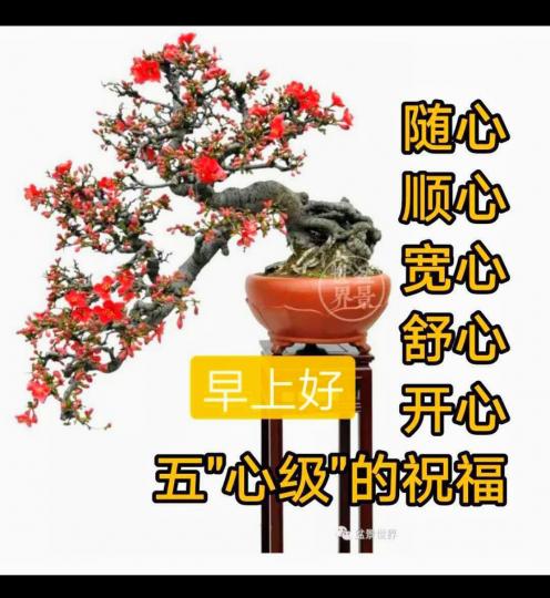 早安，送給大家（五心級）的祝福！...