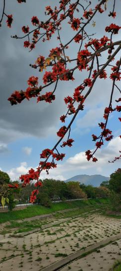 撥開雲霧見青天
願大家都 健康如意...