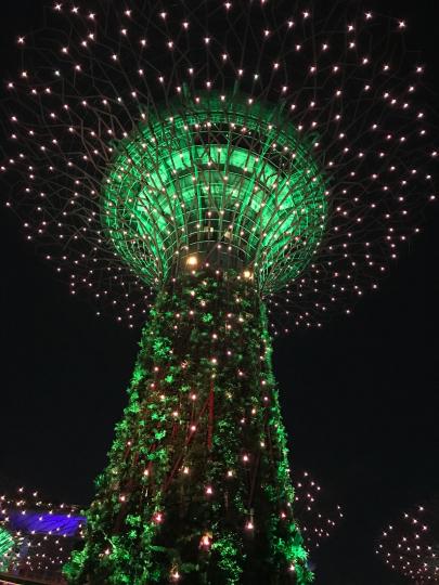 夜間燈飾
說到夜間燈飾，星加坡海濱花園晚上的燈飾相當迷人。...