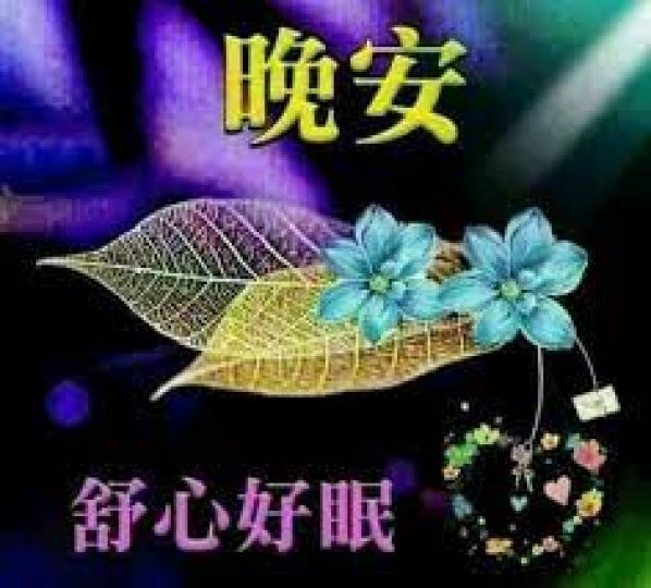 大家晚安，舒心好眠，一覺到天明！...