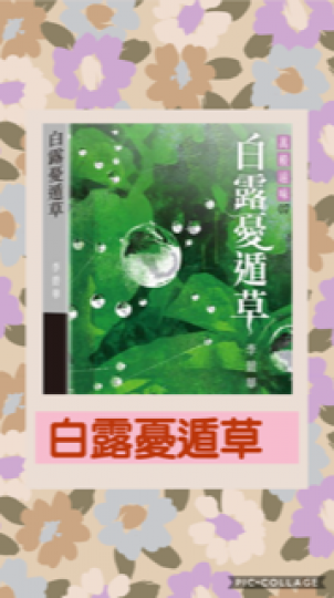 好書分享

我很欣賞白露憂遁草作者李碧華的人生觀。她追求的是自由和快樂，為人作風低調，活得逍遙！...