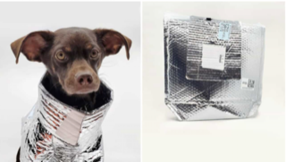 愛犬人士福音
寒冬為愛犬製作科幻保暖衣，設計師重用外賣保溫袋有妙法。...