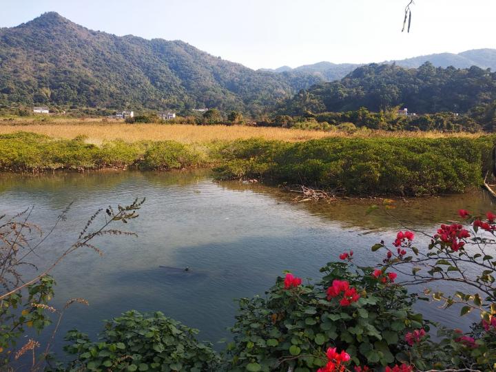 到郊外旅行看見大自然美景，先拍下來，等休閒時再慢慢欣賞，一樂也。...