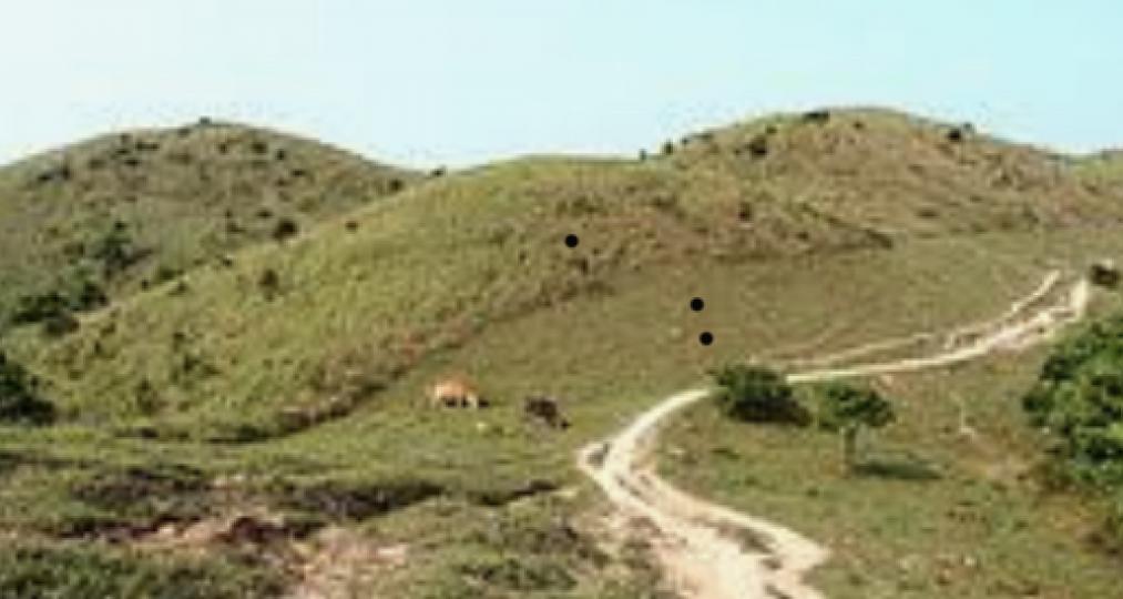 本地遊四方山
四方山是香港第四高峰，高785米，位於新界中部，屬於大帽山山群。四方山位於麥理浩第8段上，可由荃錦公路扶輪公園上山，又或者從城門水塘經鉛礦岰登頂。這裏是樂施會毅行者每年途經路線。...