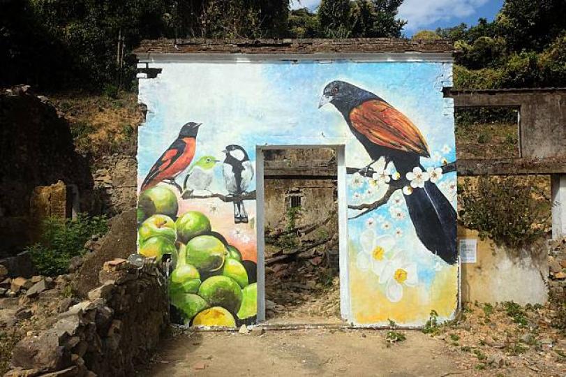 梅子林
梅子林有一生態畫家葉曉文，她在多個破舊牆壁上繪畫色彩耀目的作品，這些壁畫以地道事物為創作靈感，為荒涼村落增添生氣，吸引遊人駐足打卡。...