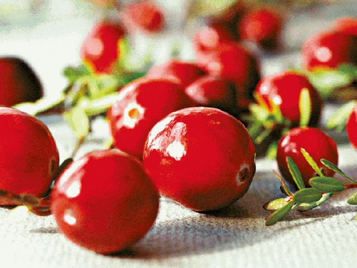 紅莓黑莓防血糖飆升