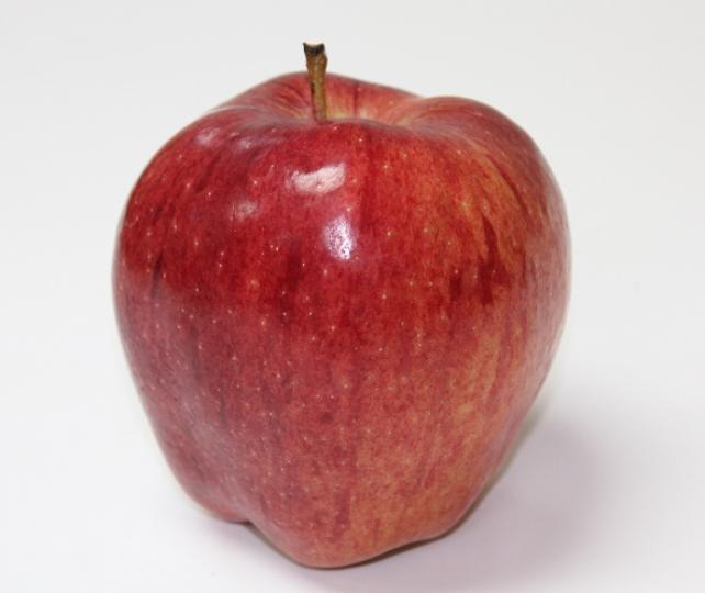 apple0421.jpg