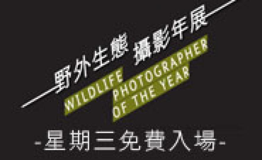 20130822_Wildlife(185).jpg