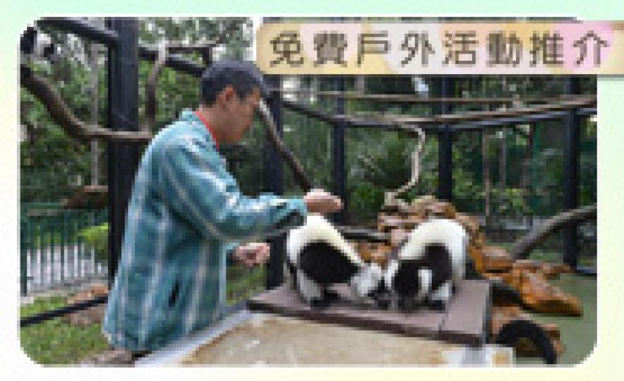 20160926_HKZBG(185).jpg 20160926_HKZBG(185).jpg