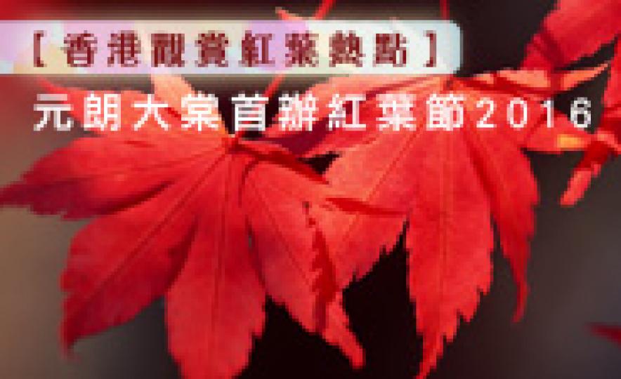 20161216_YuenLongRedLeaf(185).jpg 20161216_YuenLongRedLeaf(185).jpg