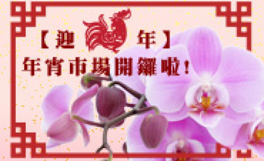 20170125_newYearFair(185).jpg 20170125_newYearFair(185).jpg