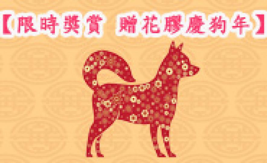 20180122_limit_yearofdog(185).jpg 20180122_limit_yearofdog(185).jpg