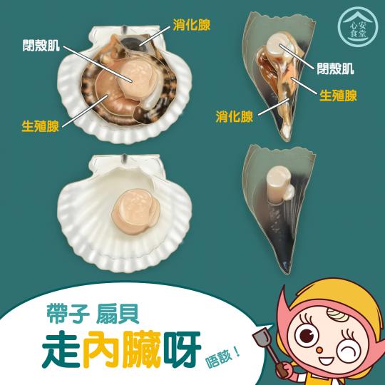 心安食堂 • 帶子扇貝走內臟呀